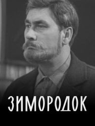 Зимородок